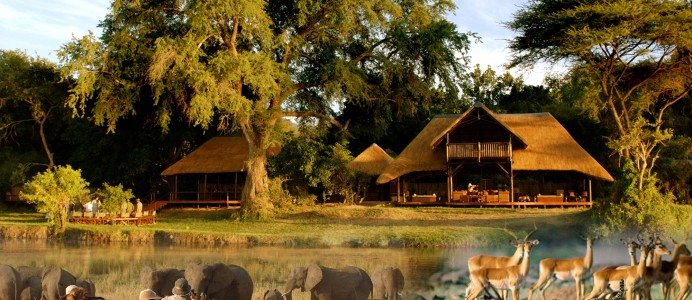 Elephants and antelope below a safari lodge