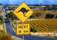 australia wine