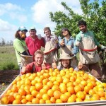 work-australia